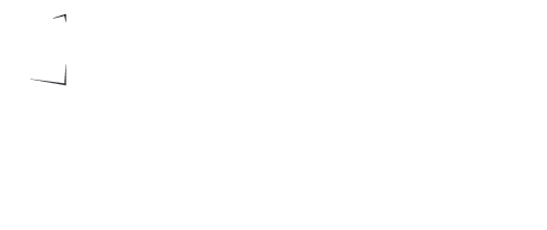 Nexus Cyber Institute Logo