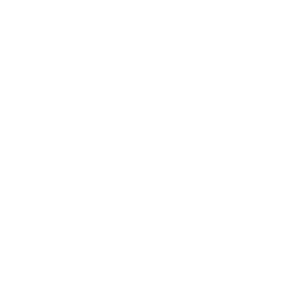 IEEE-USA white logo.